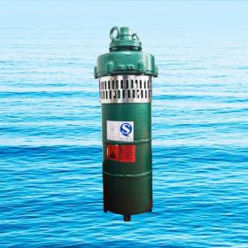 QS小型潛水電泵、QST660V特種電泵
